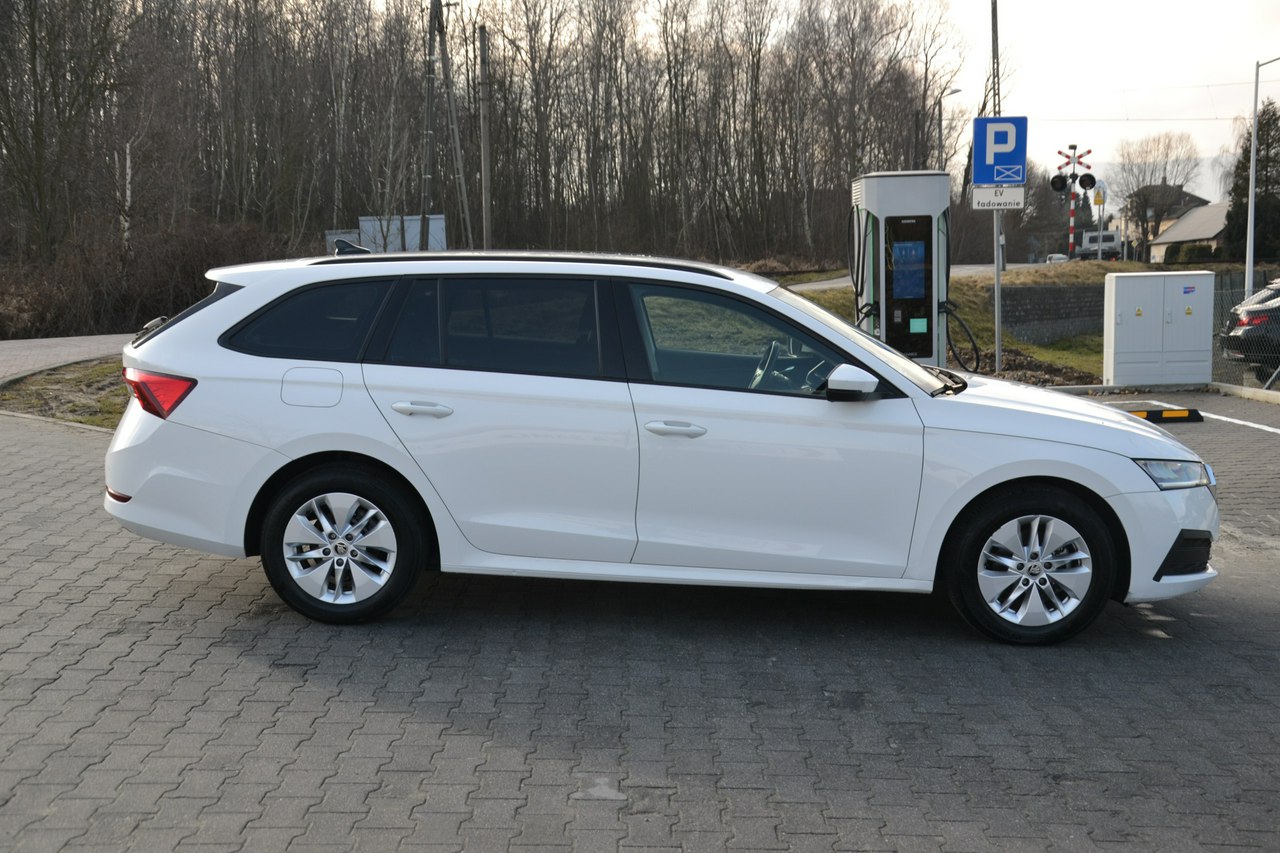 Škoda Octavia - obrazek 8