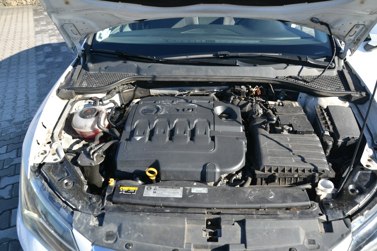 Seat Leon - obrazek 19