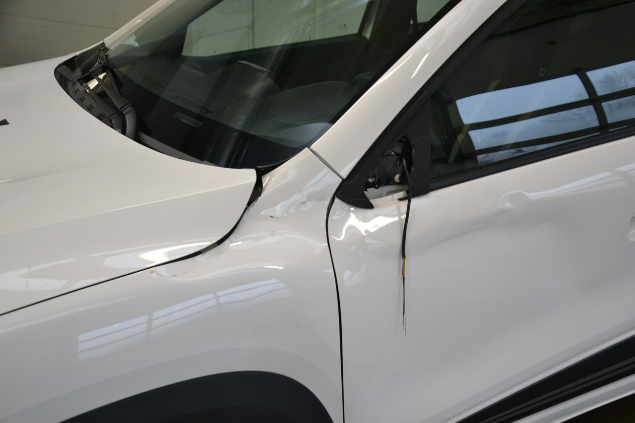 Dacia spring - obrazek 13