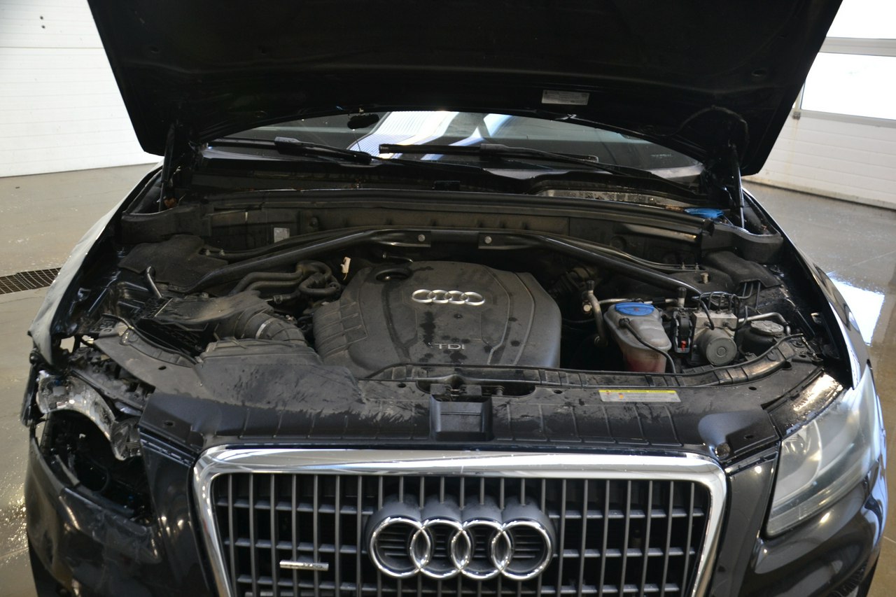 Audi Q5 - obrazek 16