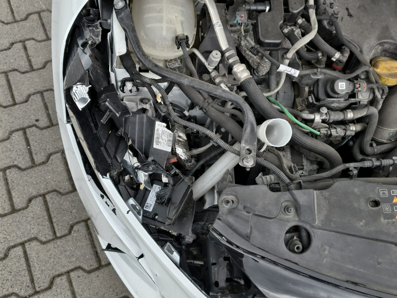Renault Clio - obrazek 16