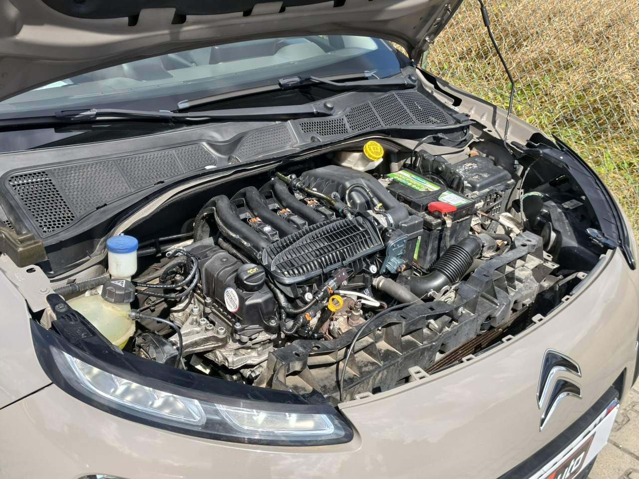 Citroen C4 Cactus - obrazek 31