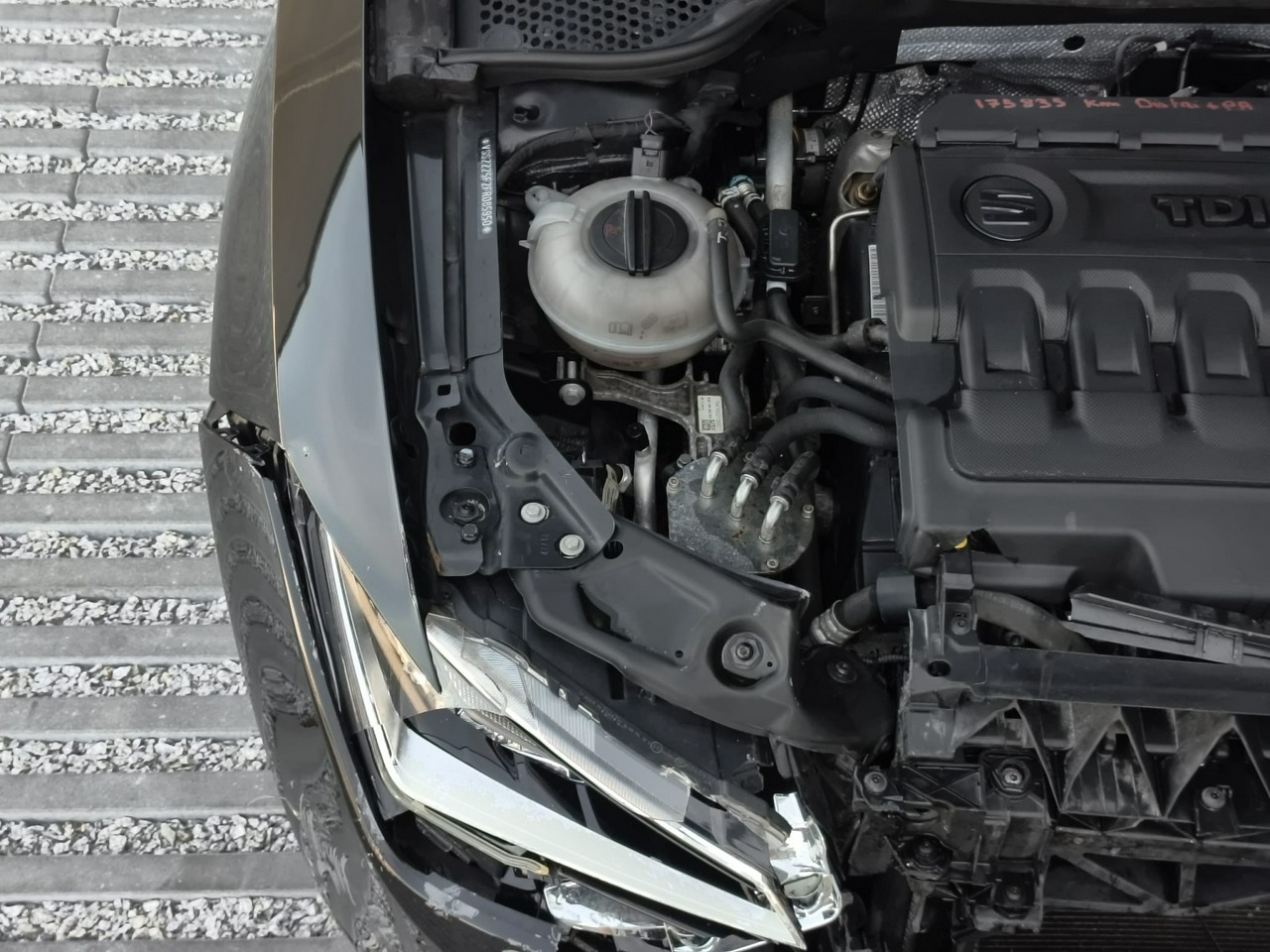 Seat Leon - obrazek 26