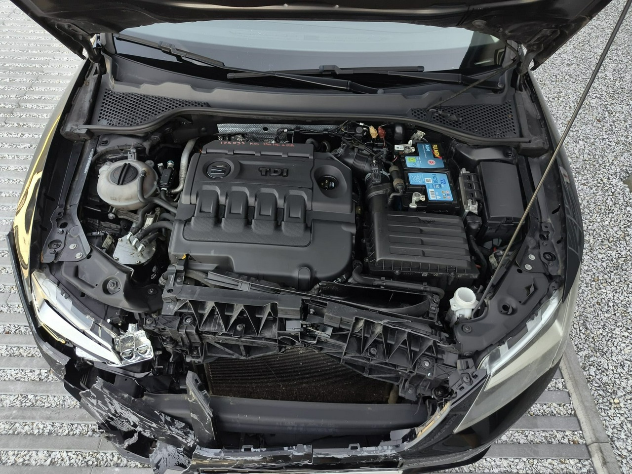 Seat Leon - obrazek 28
