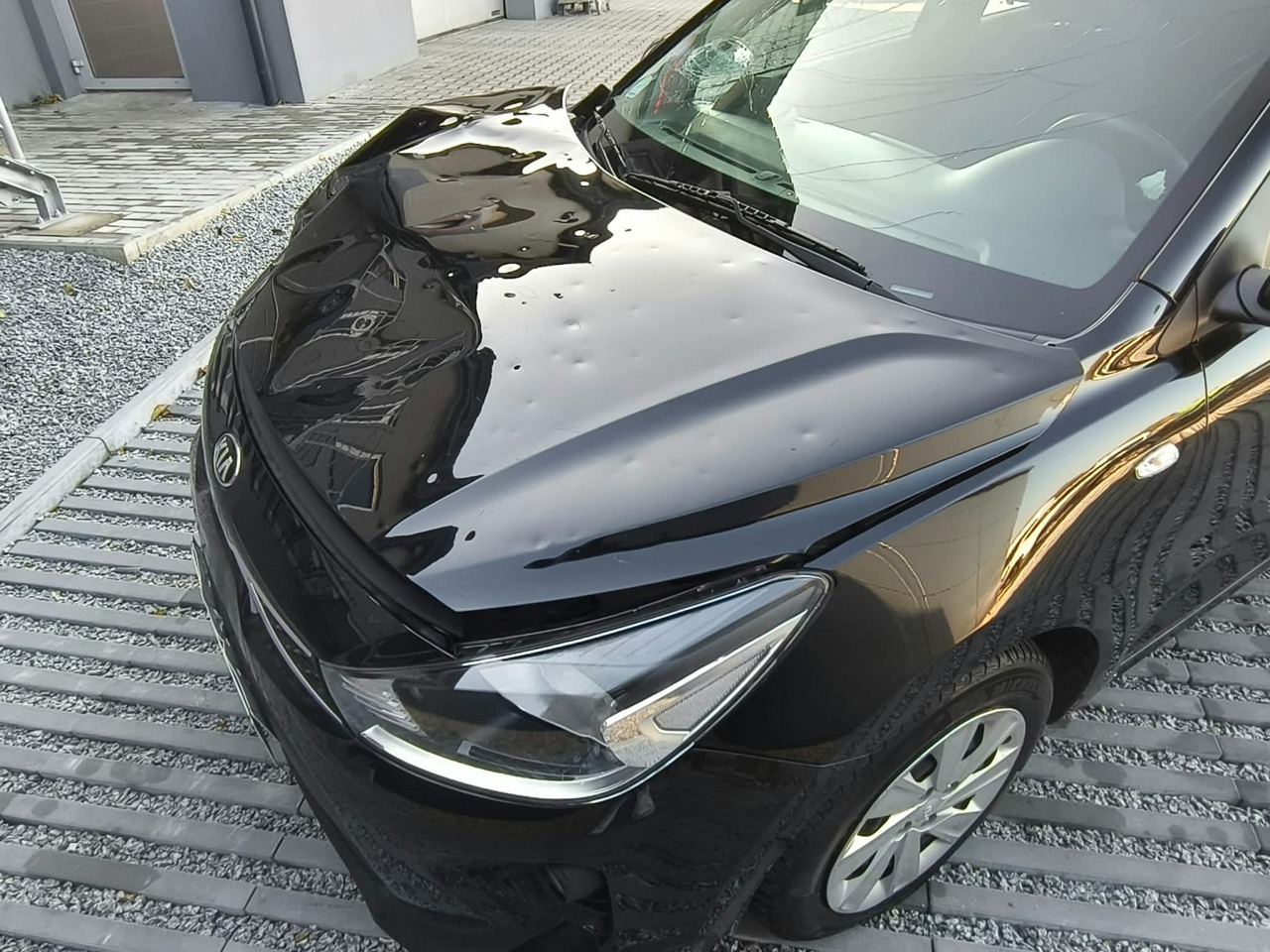 Kia Rio - obrazek 24